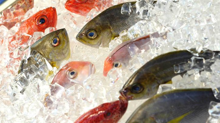 Kochkurs Butter bei die Fische